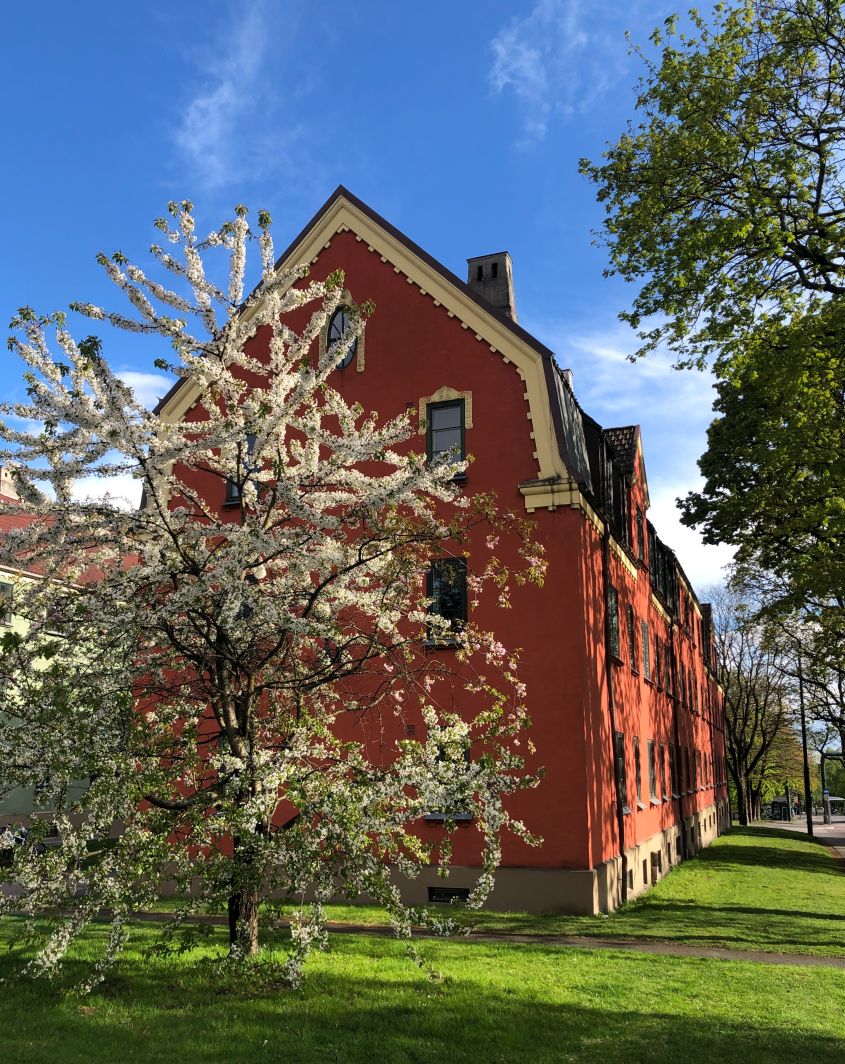 Uelands Gate – Oslo Byleksikon