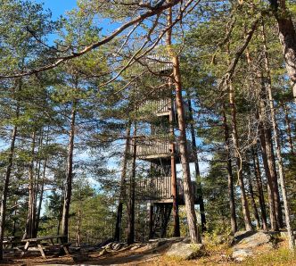 Branntårnet i Grønliåsen