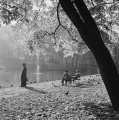 Slottsparken 1959.jpg