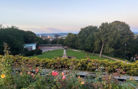 Utsikt over Sankt Hanshaugen