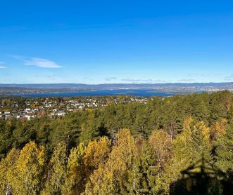 Utsikt fra branntårnet i Grønliåsen